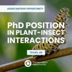 PhD position in Plant-Insect Interactions (fully funded graduate research assistantship)