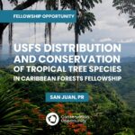 USFS Distribution and Conservation of Tropical Tree Species in Caribbean Forests Fellowship
