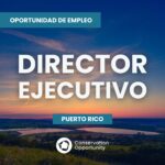 Director(a) Ejecutivo(a)