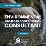 Environmental Projects Coordination Consultant
