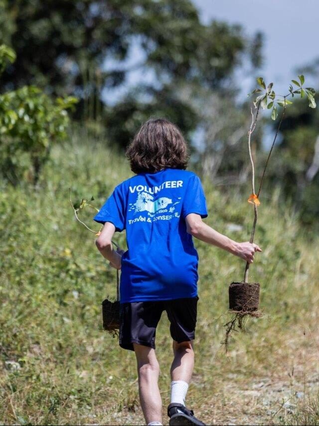 Estudiante de Compass School en Finca Metanoia en Naguabo