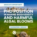 PhD Position in Marine Biodiversity and Harmful Algal Blooms