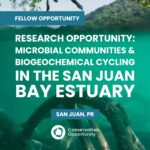 Research Opportunity to Study Microbial Communities and Biogeochemical Cycling in the San Juan Bay Estuary