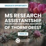 MS Research Assistantship - Pollinators and Floral Resources of Thornforest