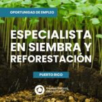 Especialista en siembra y reforestación