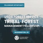 USDA Forest Service Tribal Forest Management Fellowship