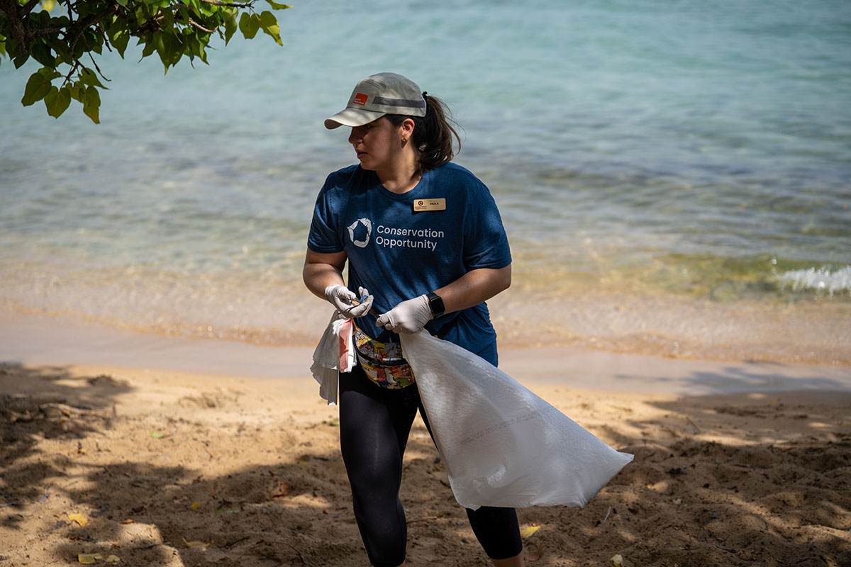 limpieza de playa puerto rico