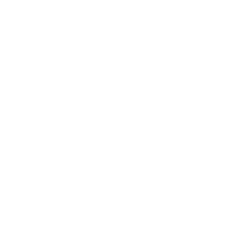 roots and shoots