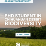 PhD Student in Chihuahuan Desert Biodiversity