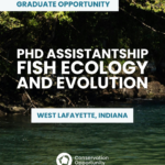 PhD Assistantship – Fish Ecology and Evolution