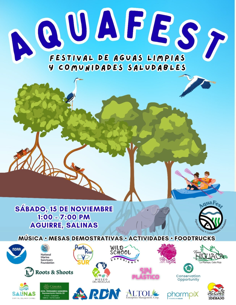 Aquafest 2025- Key visual