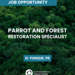 Parrot and Forest Restoration Specialist