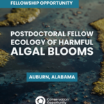 Postdoctoral Fellow – Ecology of Harmful Algal Blooms