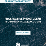 Prospective PhD Student in Ornamental Aquaculture
