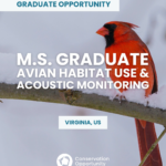 M.S. Graduate Student – Avian Habitat Use & Acoustic Monitoring