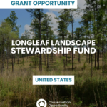 Longleaf Landscape Stewardship Fund – 2026 Request for Proposals