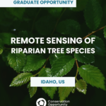 Remote Sensing of Riparian Tree Species