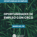 Empleos con CRCD