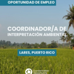 Coordinador/a de Interpretación Ambiental