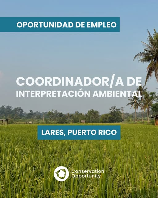 Coordinador/a de Interpretación Ambiental