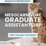 Mesocarnivore Graduate Assistantship (M.S.)