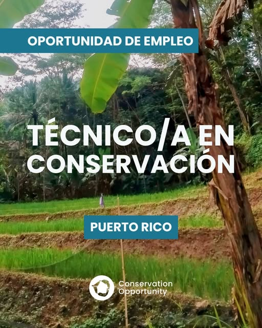 Tecnico En Conservacion