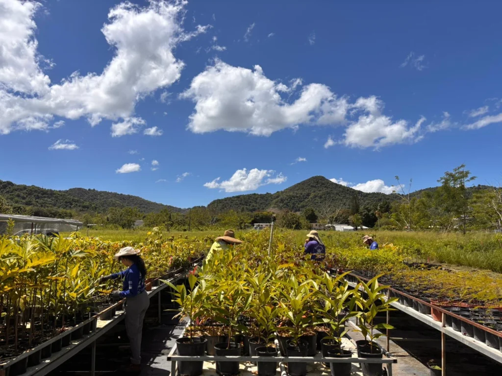 Personas trabajando en vivero