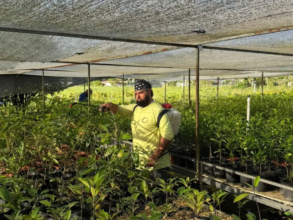 Persona trabajando en vivero