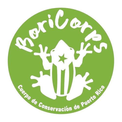 BoriCorps — Cuerpo de Conservación de Puerto Rico